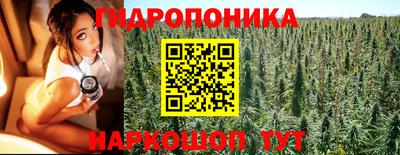 гидра Кинель