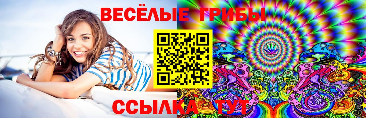 Псилоцибиновые грибы Psilocybine cubensis Кыштым