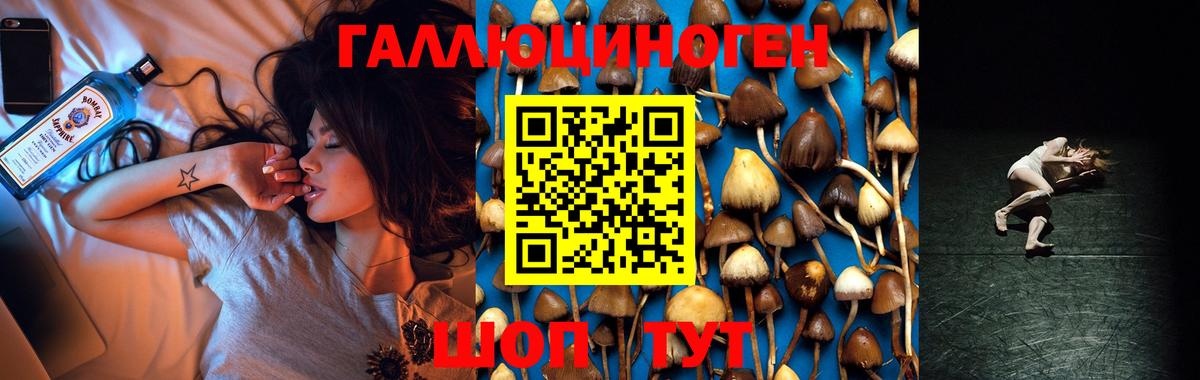 Кыштым  Галлюциногенные грибы Psilocybe  Вход с VPN 